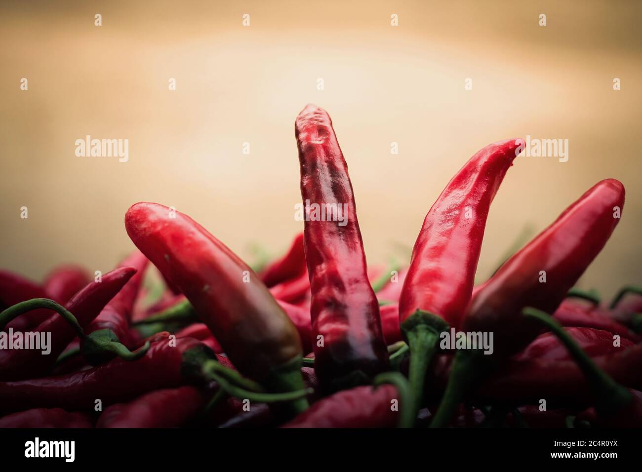 Hot spicy Mexican Serrano Ripe chili Pepper, it's too hot Stock Photo
