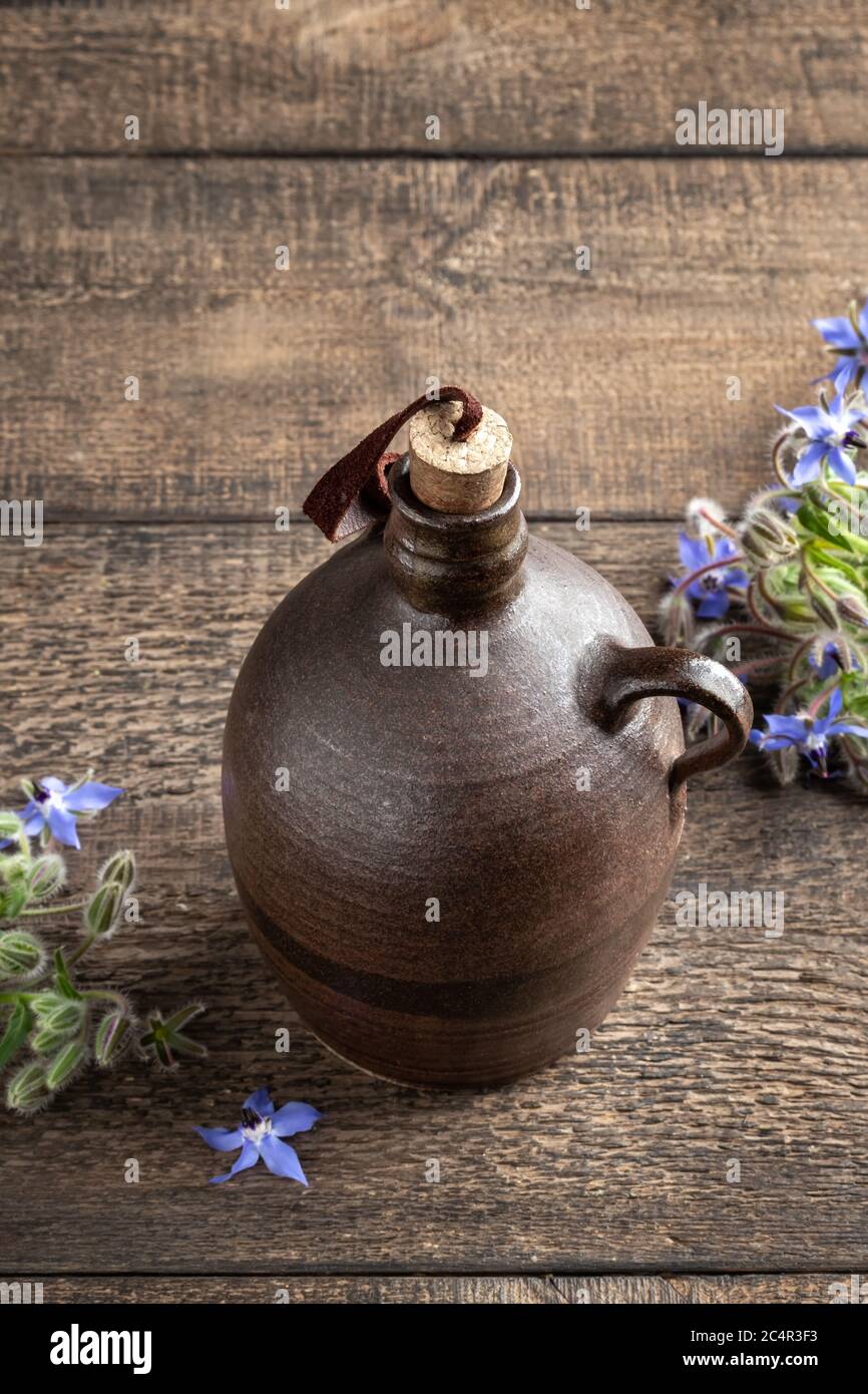 A bottle of oil with blooming borage plant, with copy space Stock Photo