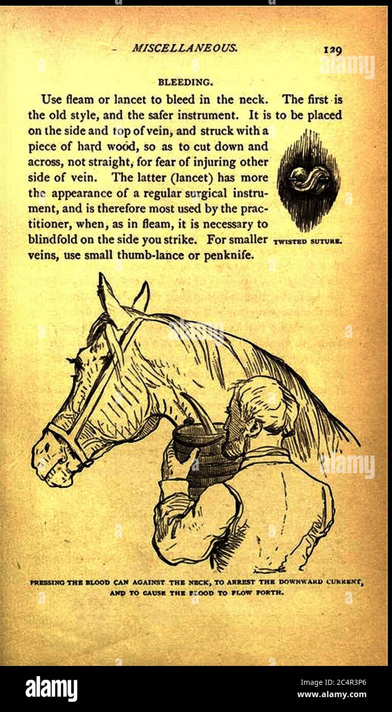 BLEEDING A HORSE TWISTED SUTURE An 1873 manual reveals one of the