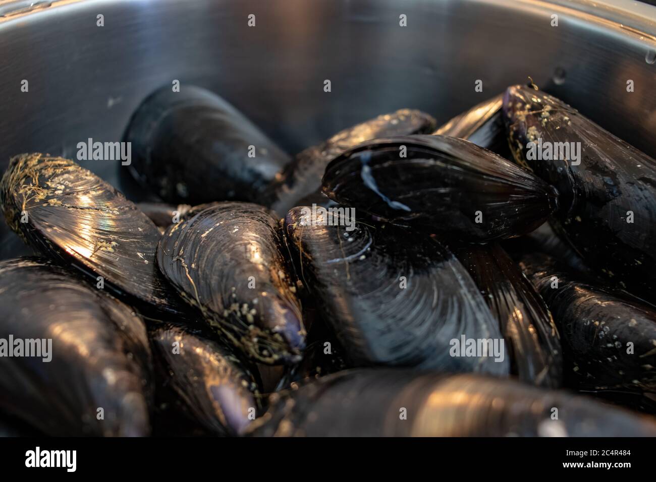 A closeup of a pot full of freshly opened mussels Stock Photo Alamy