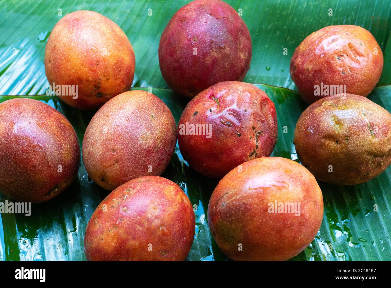 Ripe passion fruit, on a wet banana leaf. Vitamins, fruits, healthy