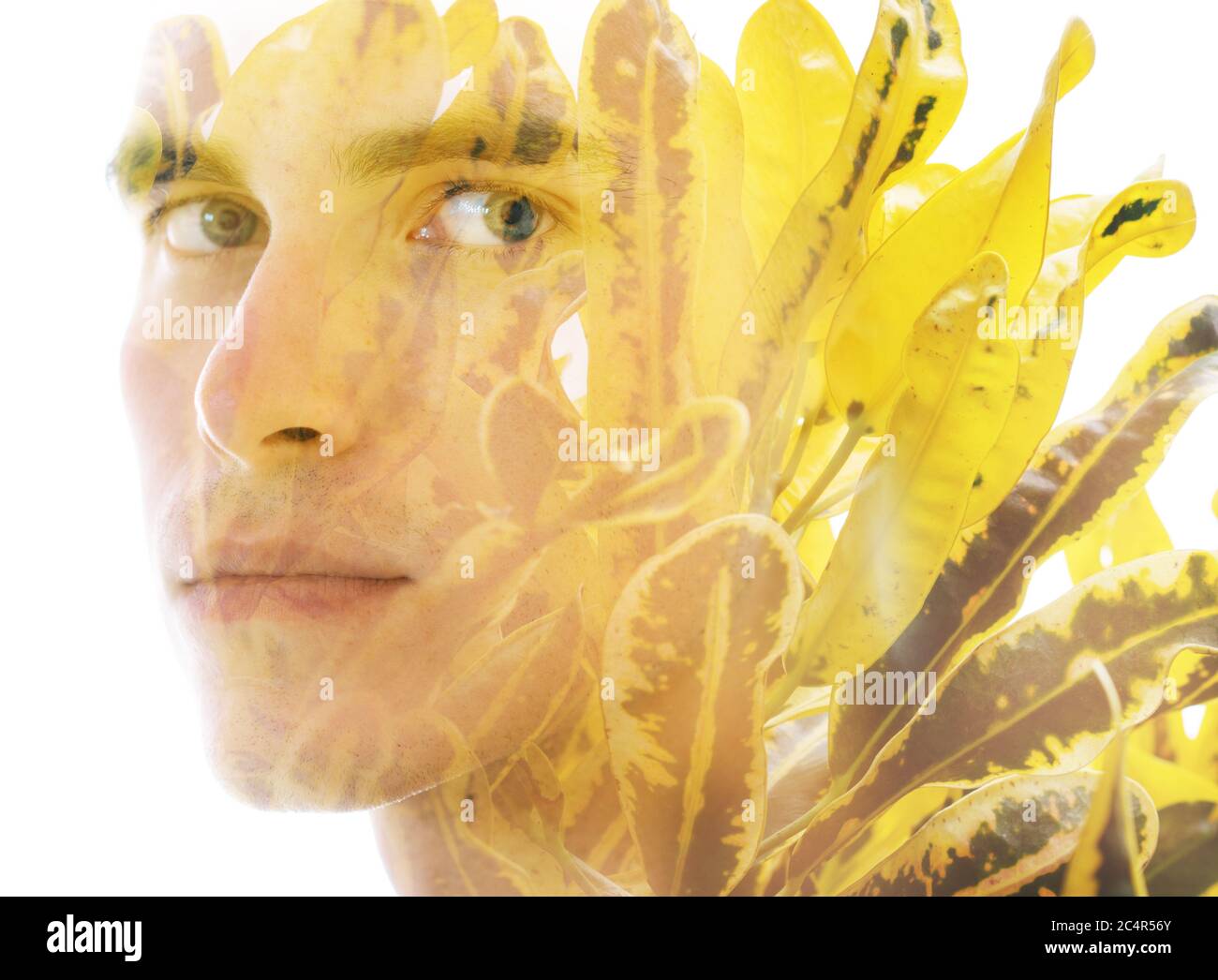 Surreal creative double exposure portrait Stock Photo - Alamy