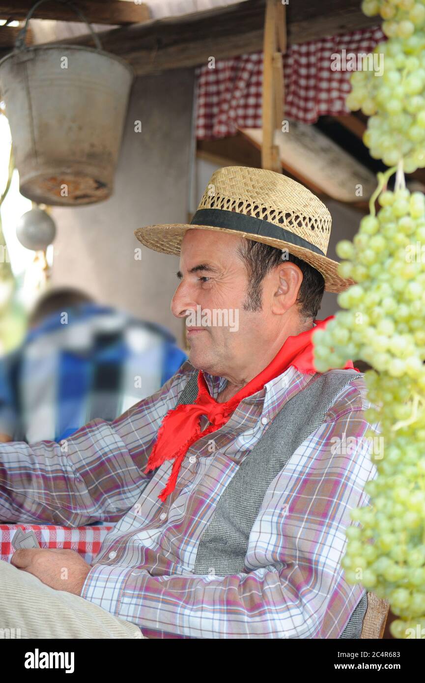 Italy harvest festival hi-res stock photography and images - Alamy