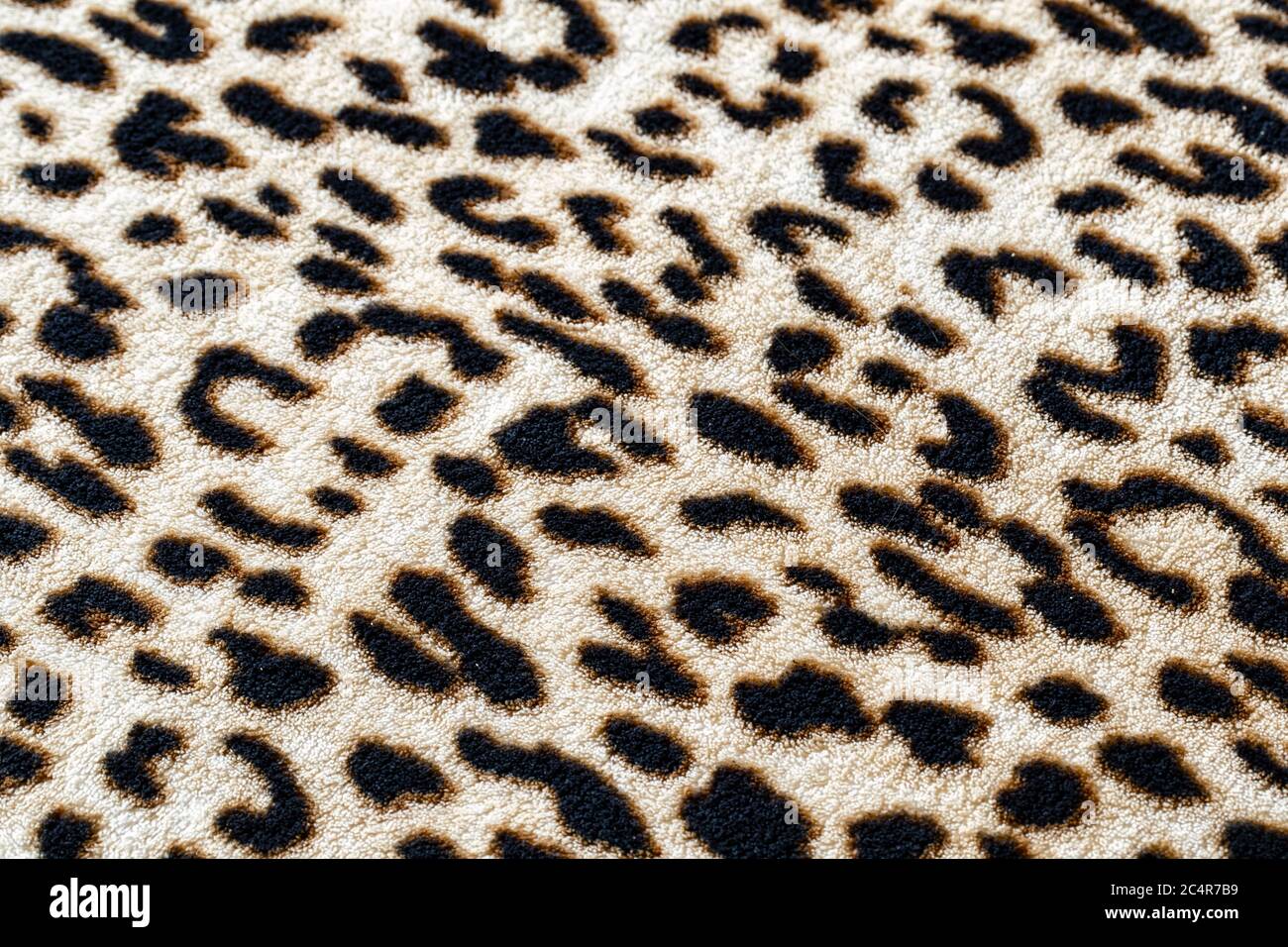 Wild animal cheetah print pattern Stock Photo - Alamy