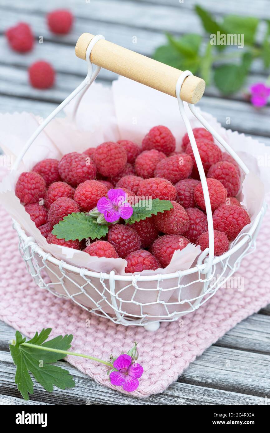 fresh raspberries in basket on the table Stock Photo