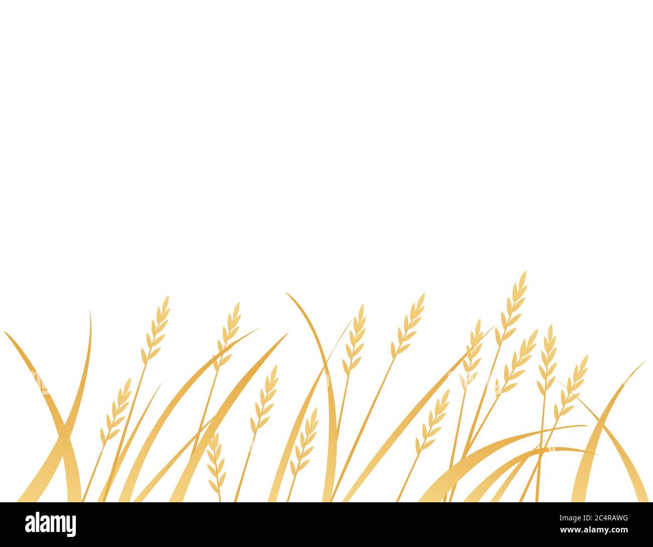 Yellow african savanna grass flat vector illustration on white background Stock Vector