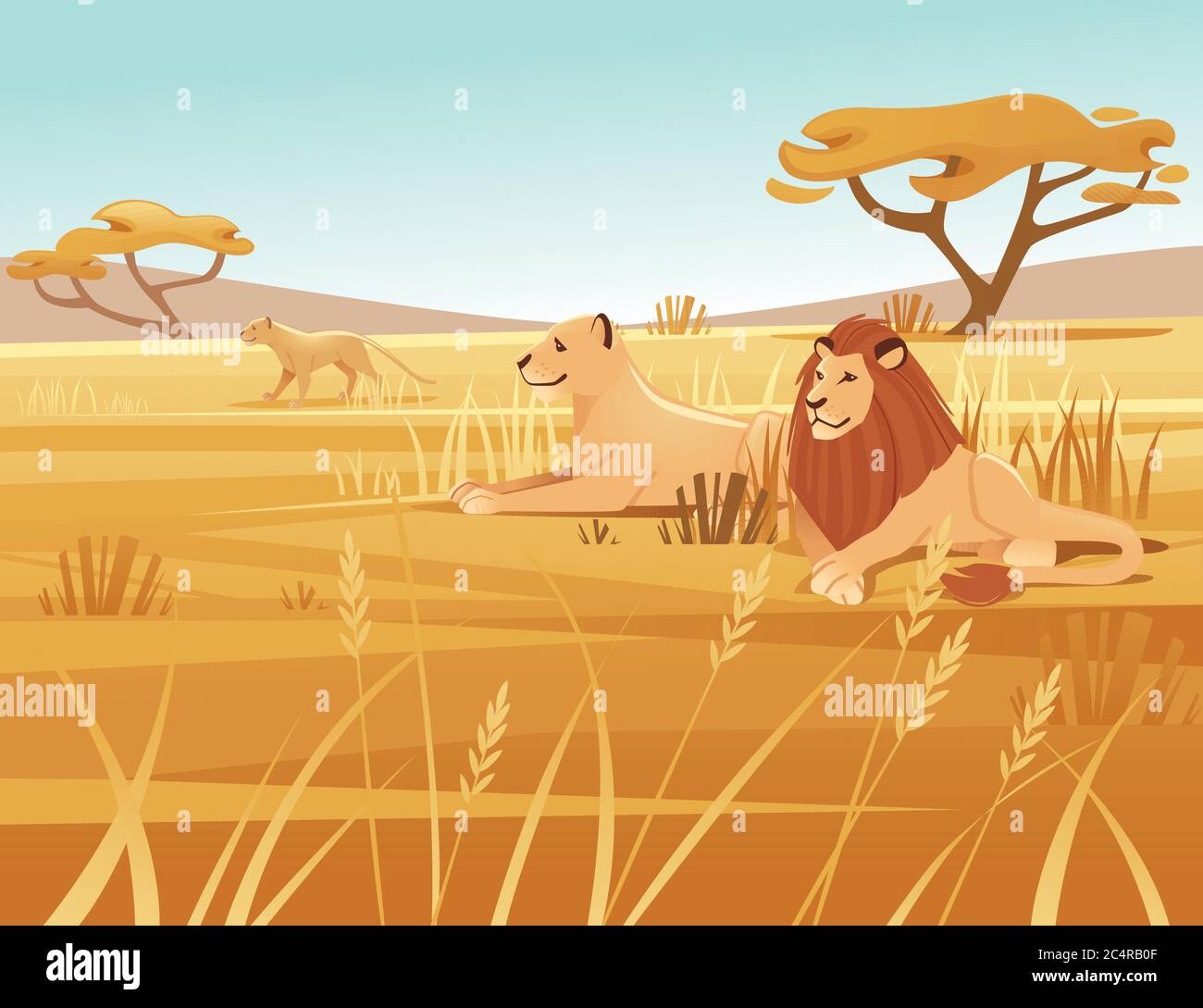 Landscape savanna background with clear sky yellow grass and tree lion  family lying on ground flat vector illustration cartoon style Stock Vector  Image & Art - Alamy