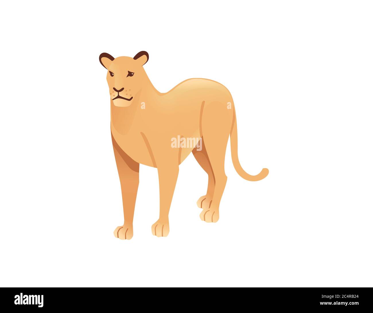 Adult lioness african wild predatory cat female lion cartoon cute animal  design flat vector illustration isolated on white background Stock Vector  Image & Art - Alamy