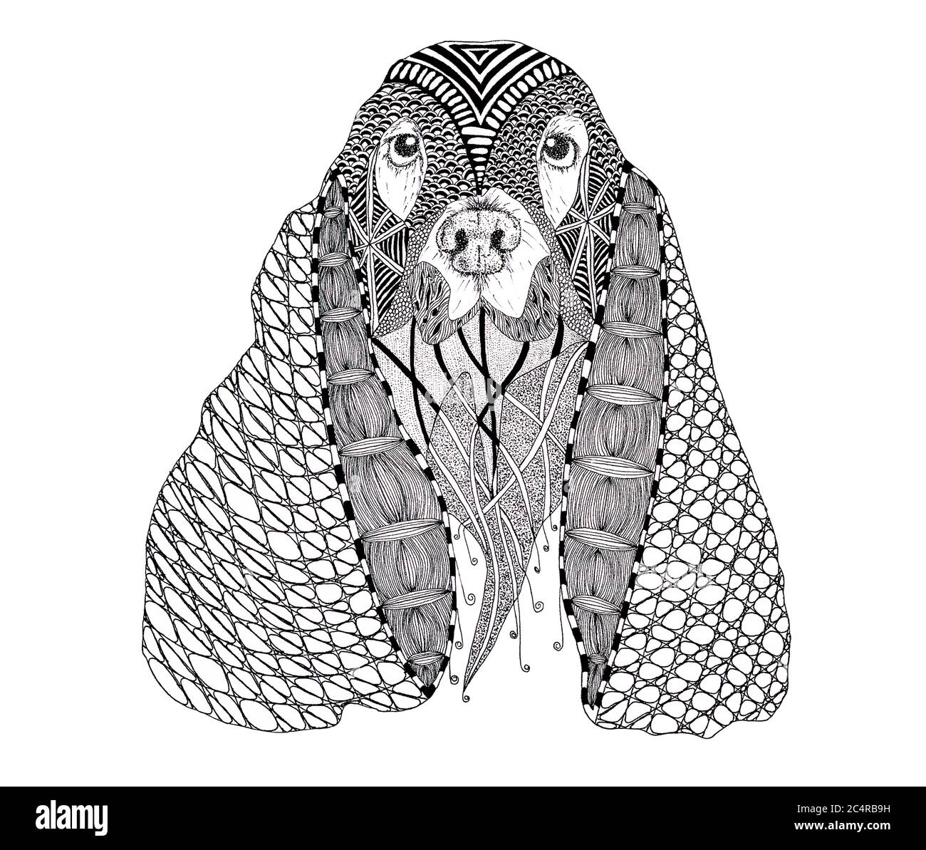 A patterned (tangled) portrait of a Spaniel. Stock Photo