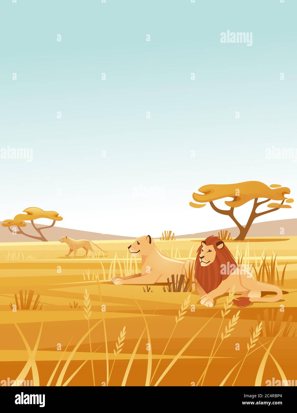Landscape savanna background with clear sky yellow grass and tree lion  family lying on ground flat vector illustration cartoon style vertical  design Stock Vector Image & Art - Alamy