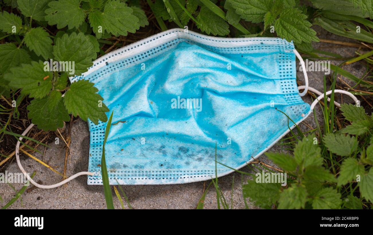 Used, blue surgical mask between green leaves, lying on the ground. Lost or thrown away. Stock Photo