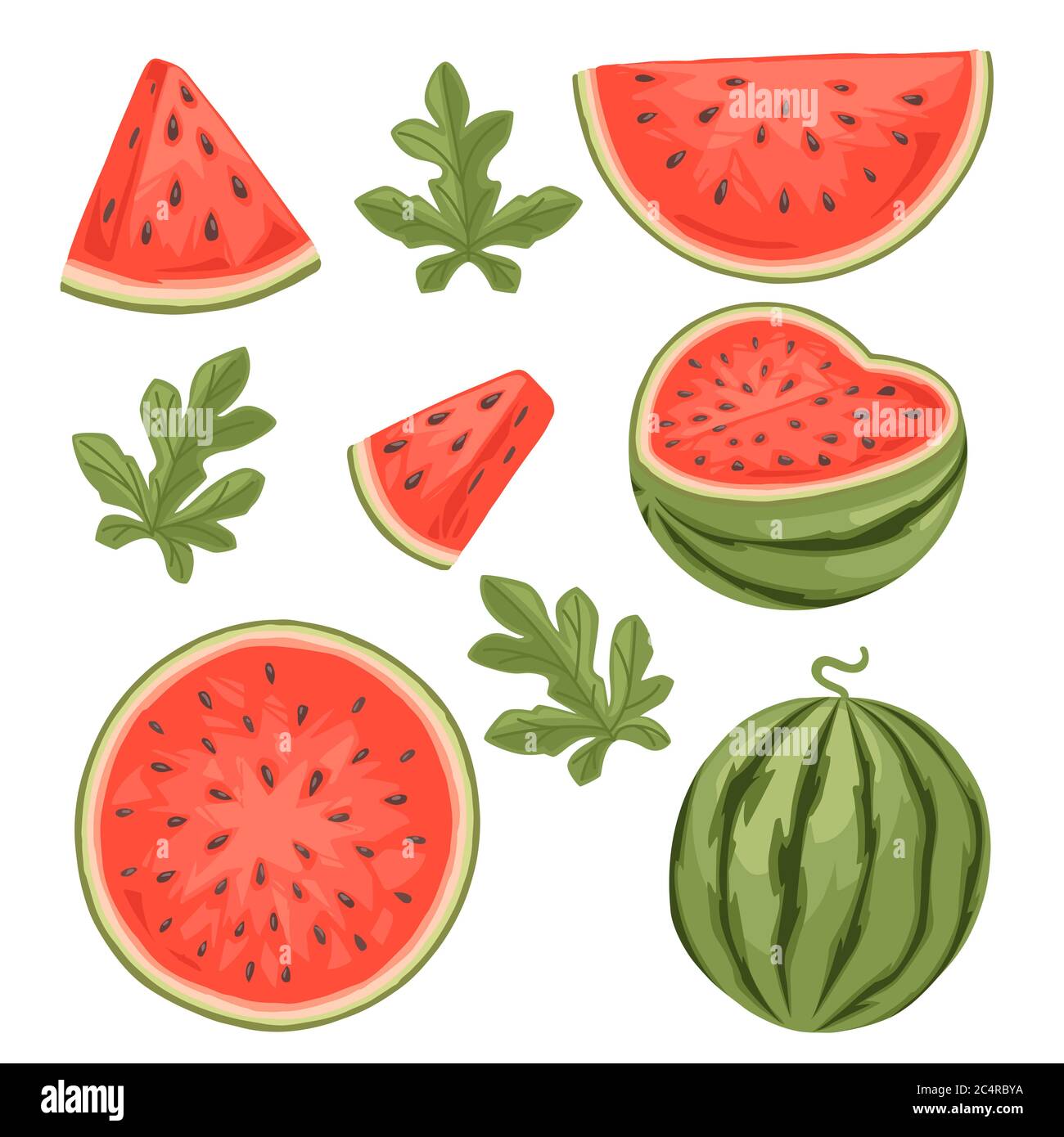 Set of watermelon whole and sliced with green leaves flat vector ...