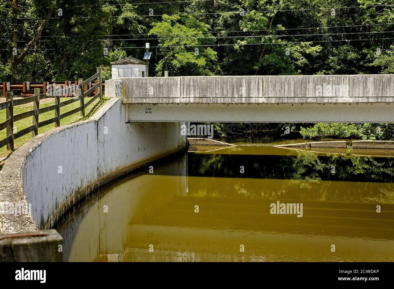 White concrete highway bridge crosses a stream.  Trap Pond, Laurel, DE Stock Photo