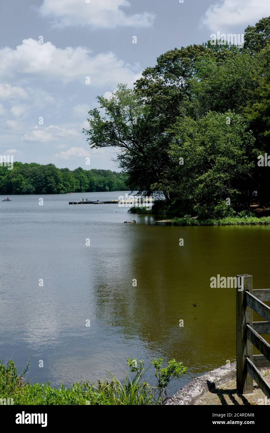 Lake view on a sunny day, Trap Pond, DE. Stock Photo