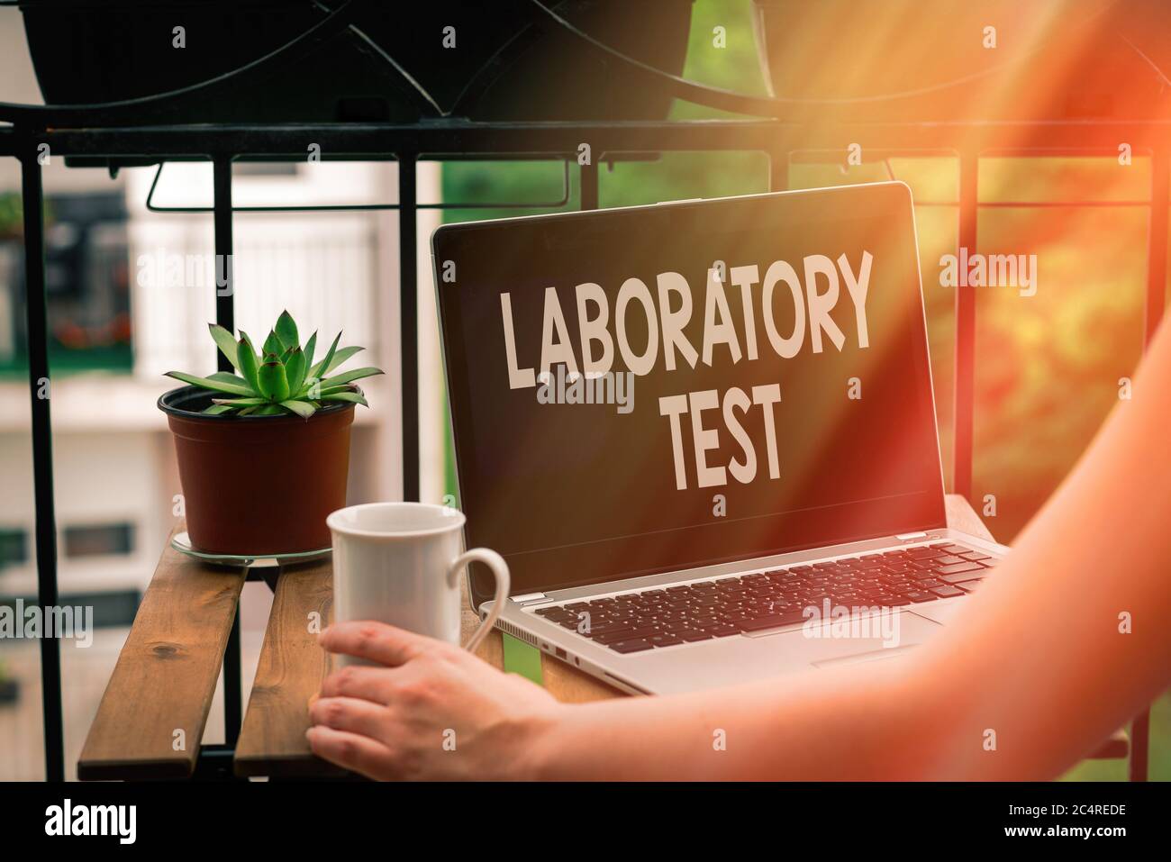 Text sign showing Laboratory Test. Business photo text Determination of ...
