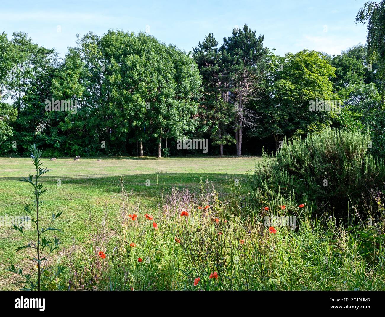 Bromley green hires stock photography and images Alamy