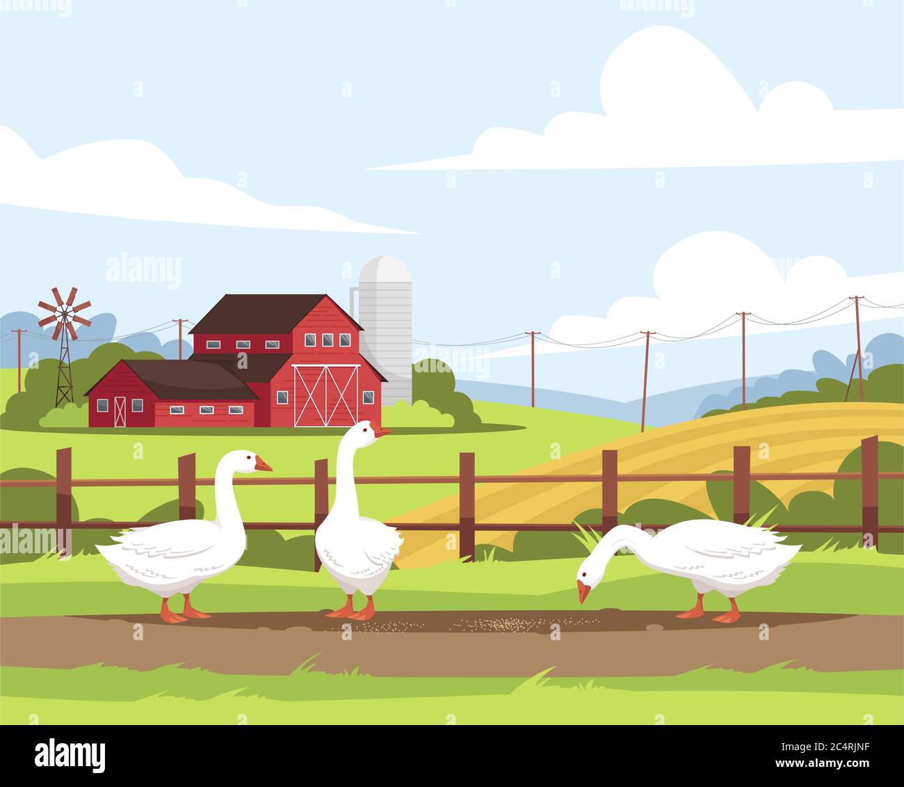 Semi goose Stock Vector Images - Alamy
