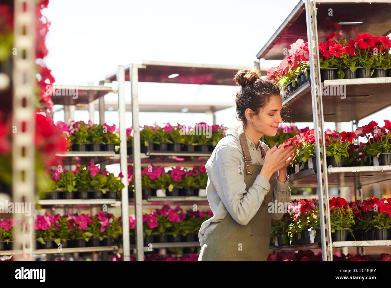 Side view portrait of smiling young woman smelling potted flowers on ...