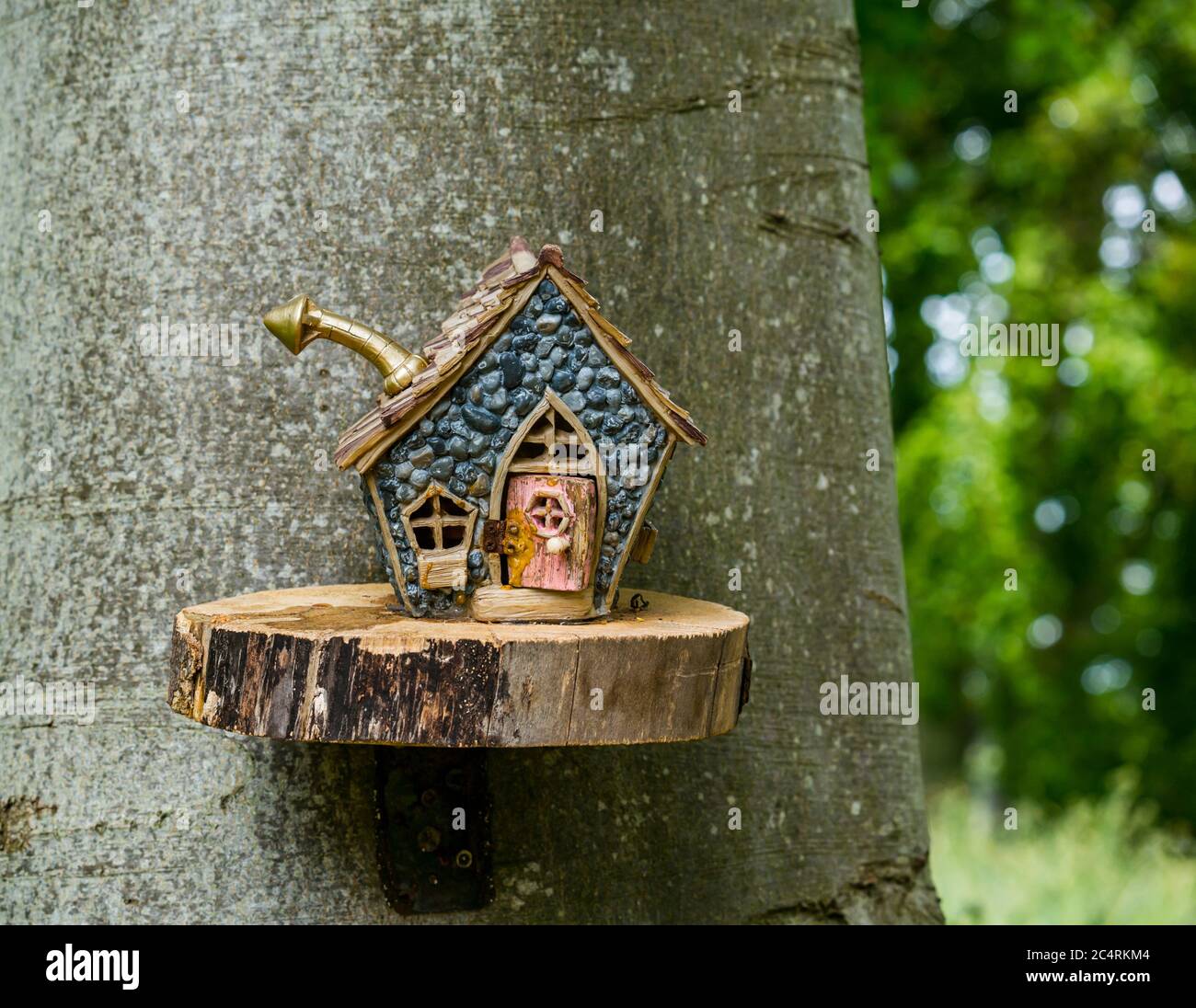 Imaginary quirky miniature cottage on tree in fairy trail, Archerfield Estate, East Lothian, Scotland, UK Stock Photo