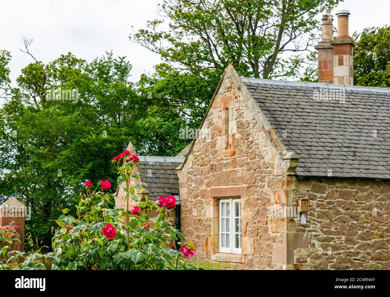 Pretty traditional sandstone stone lodge cottage with rose bush with red roses, East Lothian, Scotland, UK Stock Photo