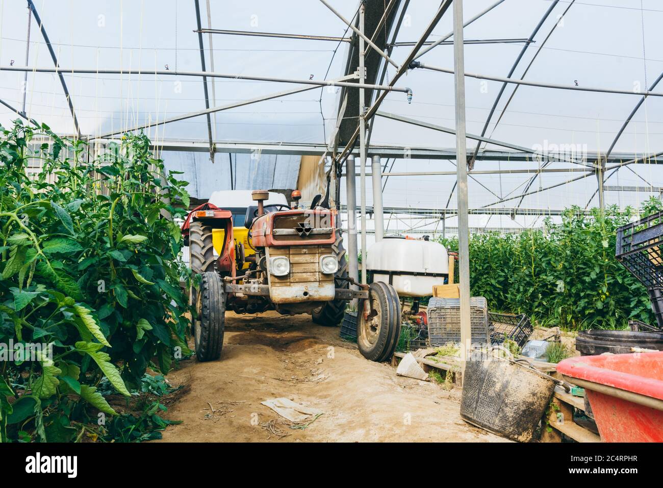 agricultural-machinery-in-a-tomato-field-agricultural-tools-stock