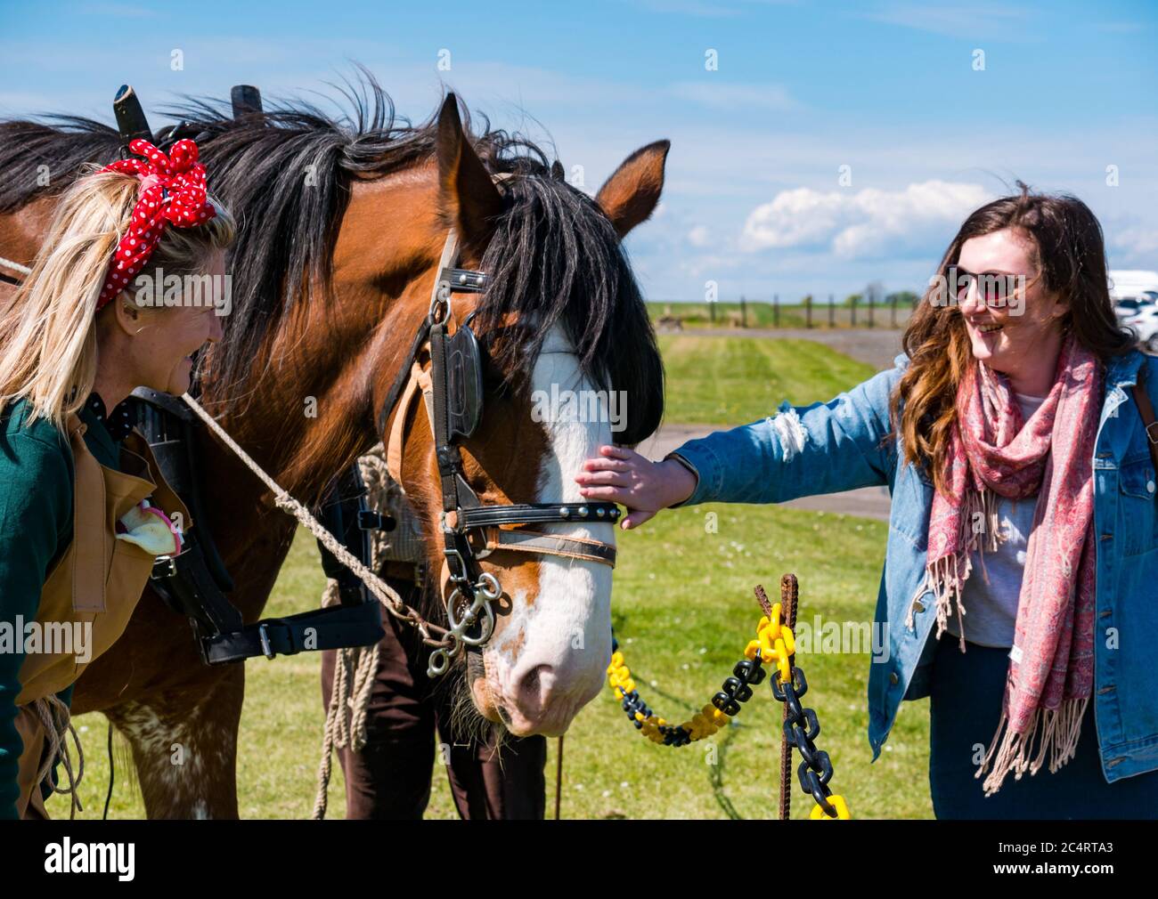 Woman in 1940s costume with Clydesdale horse, wartime event, East