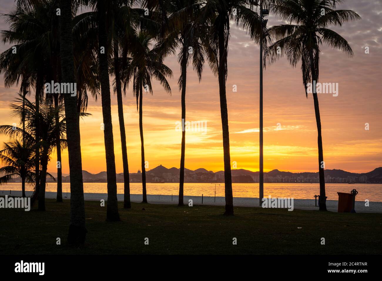 Beautiful view to yellow sun rising on city beach with palm trees ...