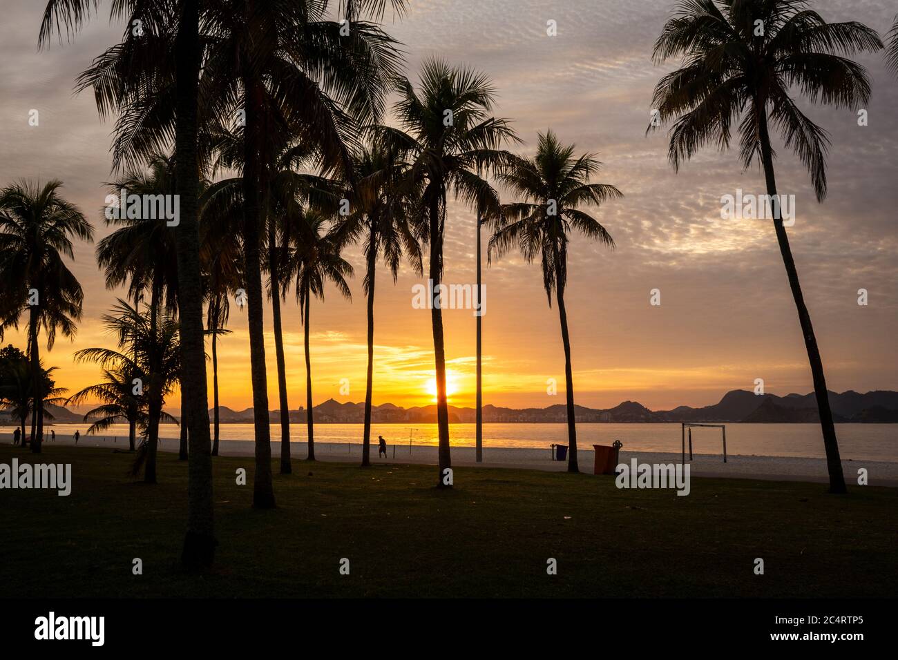 Beautiful view to yellow sun rising on city beach with palm trees ...