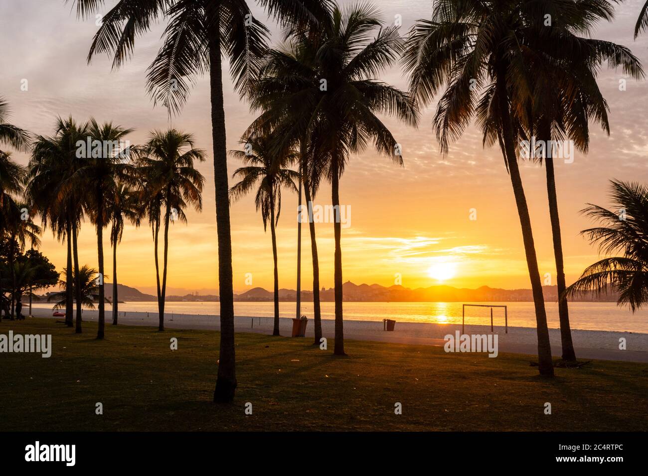 Beautiful view to yellow sun rising on city beach with palm trees ...