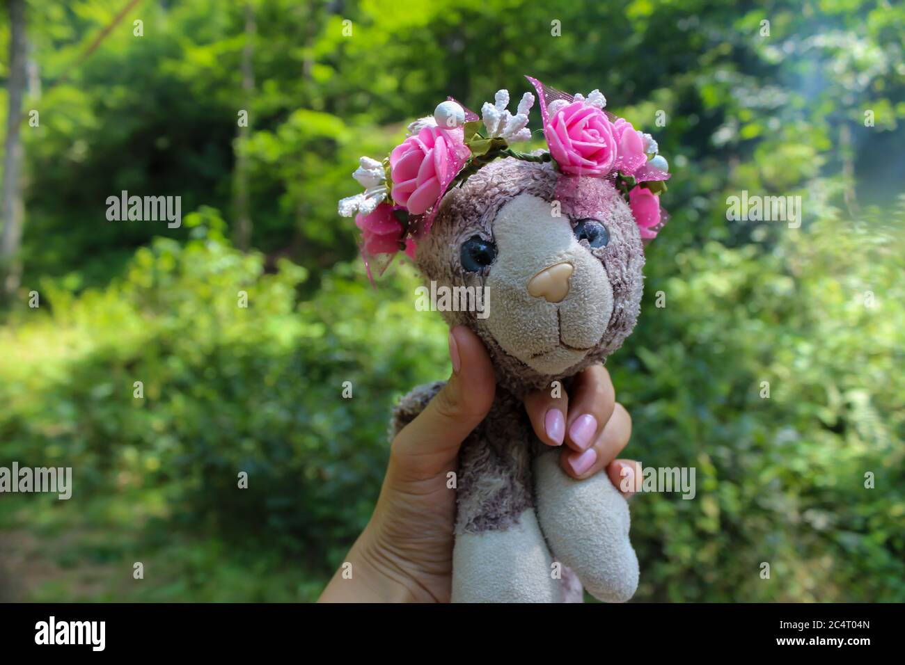 Cat toy on grey hi-res stock photography and images - Alamy