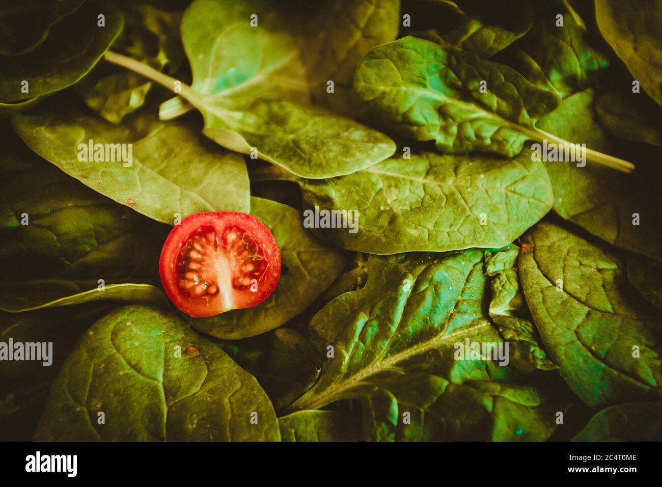Red tomato berry leaf hi-res stock photography and images - Alamy