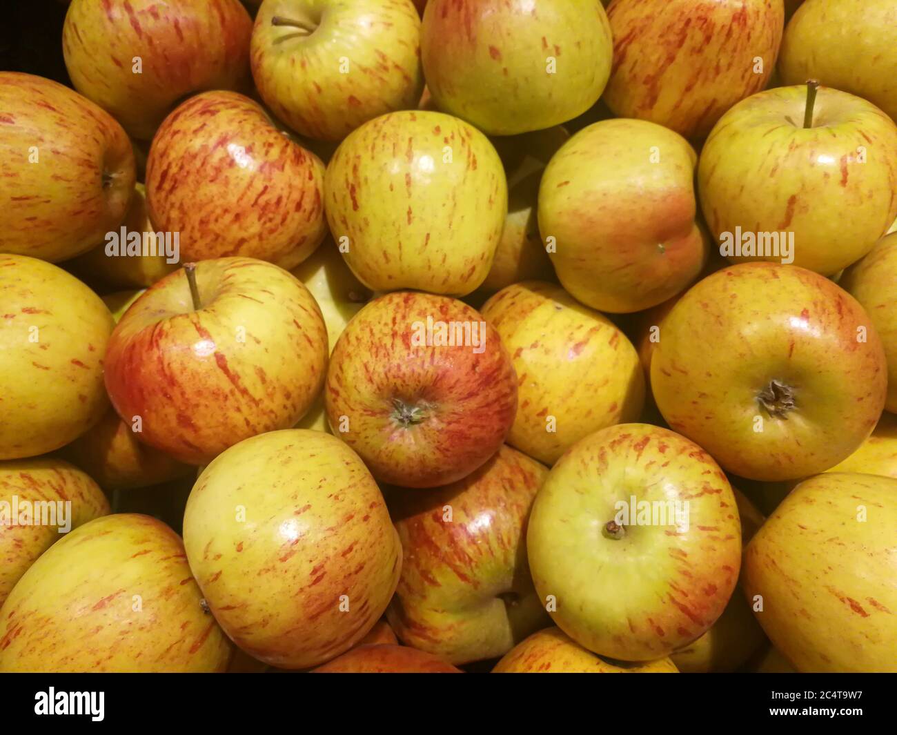 A box of apples of the brand Cox Orange Stock Photo