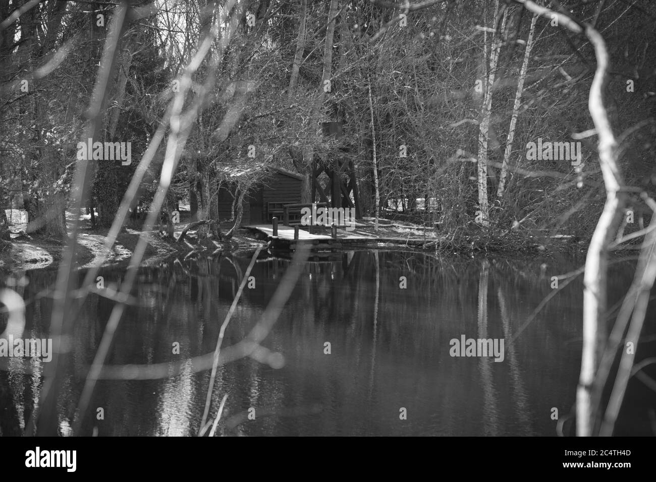 Beautiful shot reflective pond Black and White Stock Photos & Images ...