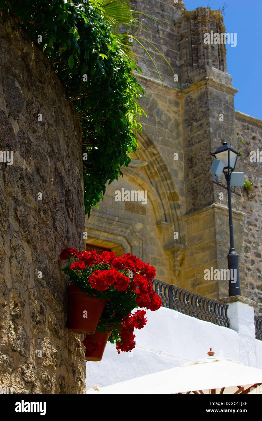 Vertical shot of a wall planter filled with red roses in front of a balcony during daylight Stock Photo