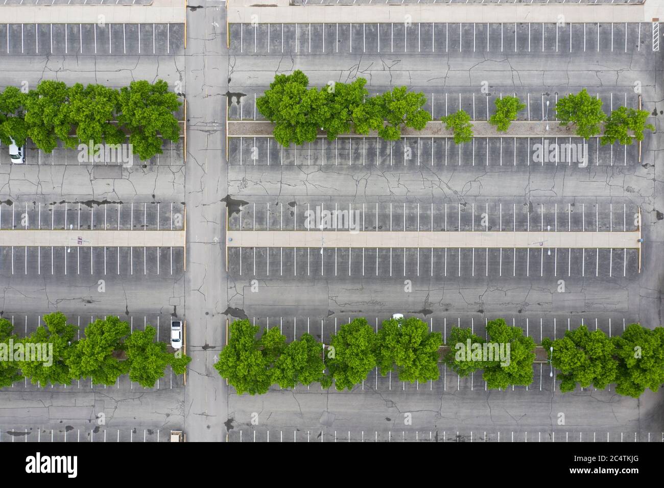 Abstract drone view looking down on an almost empty asphalt parking lot with rows of trees Stock Photo