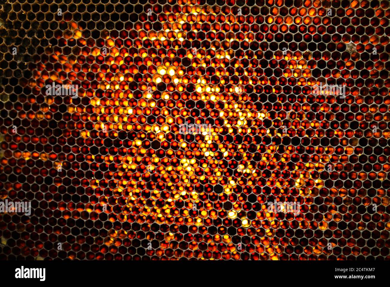 Mesh patternes hi-res stock photography and images - Alamy