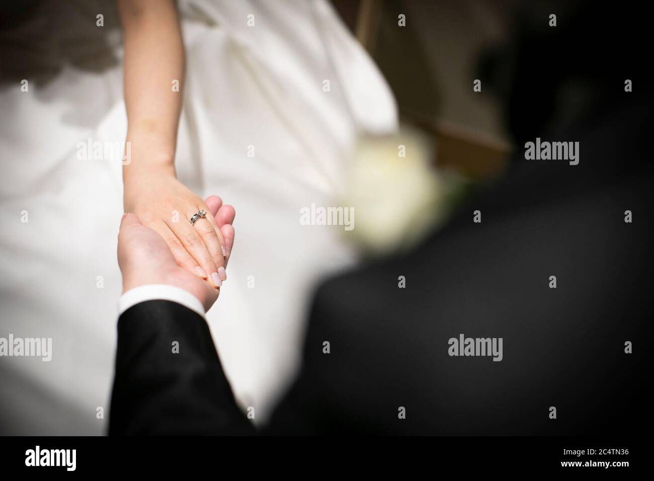 Groom and Bride holding hands Stock Photo