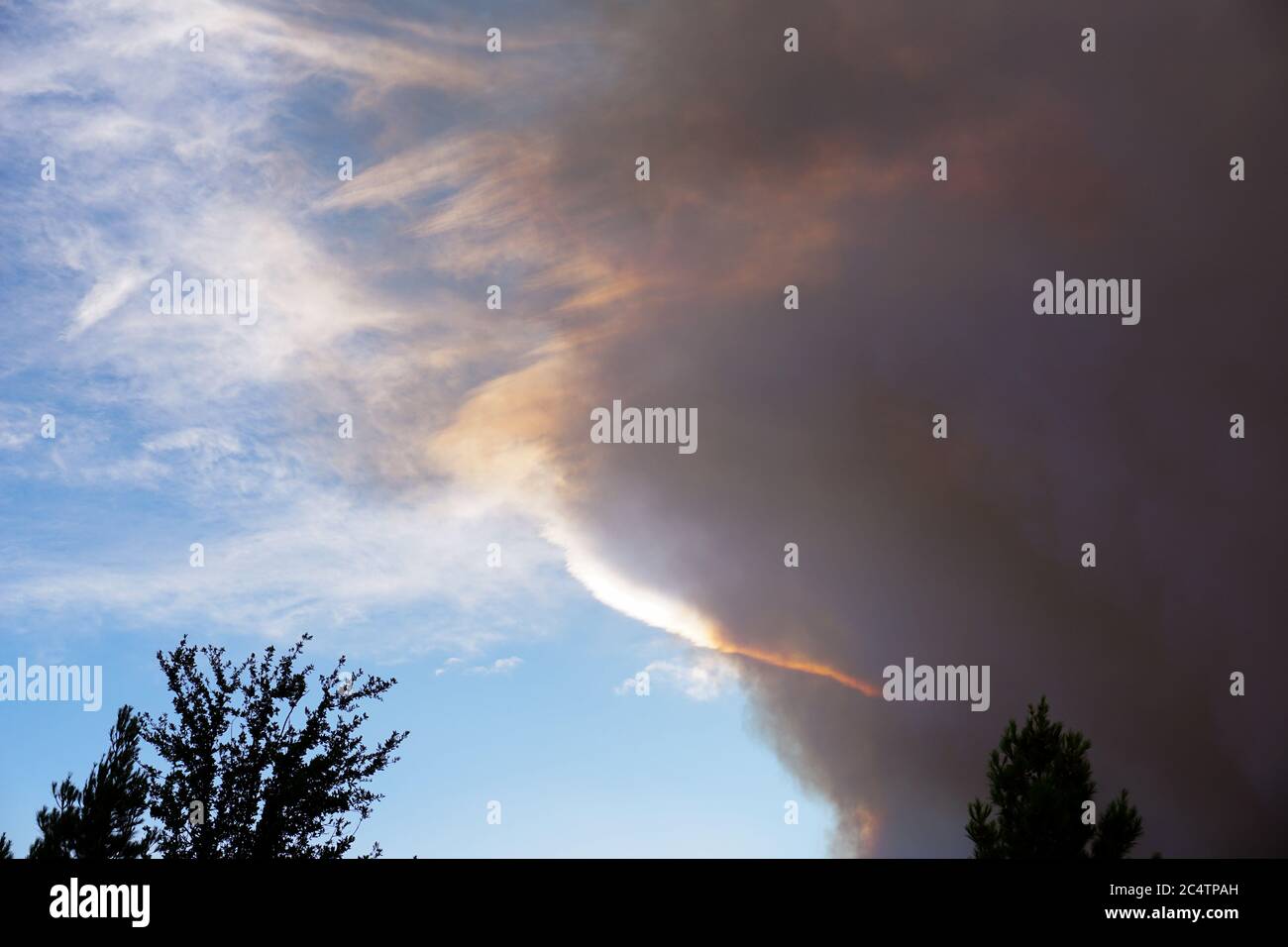 Smoke from the fire on Mount Charleston Stock Photo Alamy