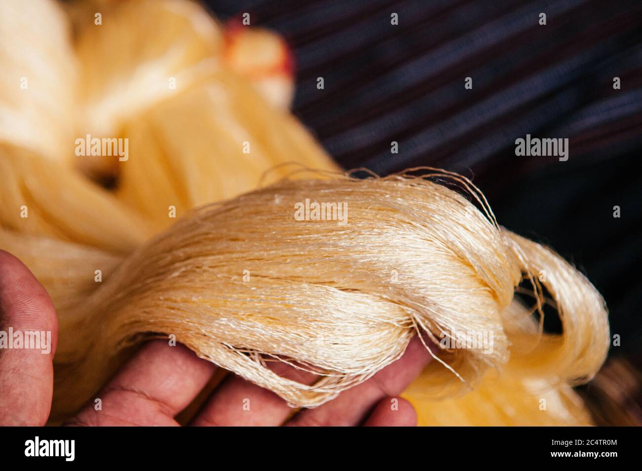 Details of natural shining yellow silk thread traditional sericulture of Thai silk making in Countryside Stock Photo