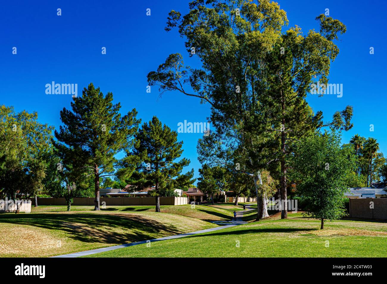 Beautiful shot of a pathway surrounded by trees in a park Stock Photo ...