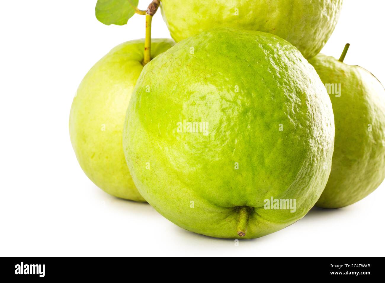 close up green guava fruit on white background fruit agriculture food isolated Stock Photo