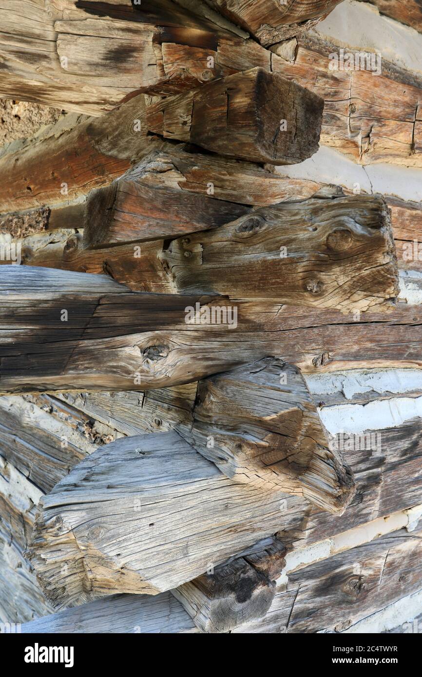 Old historic log cabin corner construction Utah 1363. Pioneer settler in wilderness mountain valley. Family home on ranch and farm. Stock Photo