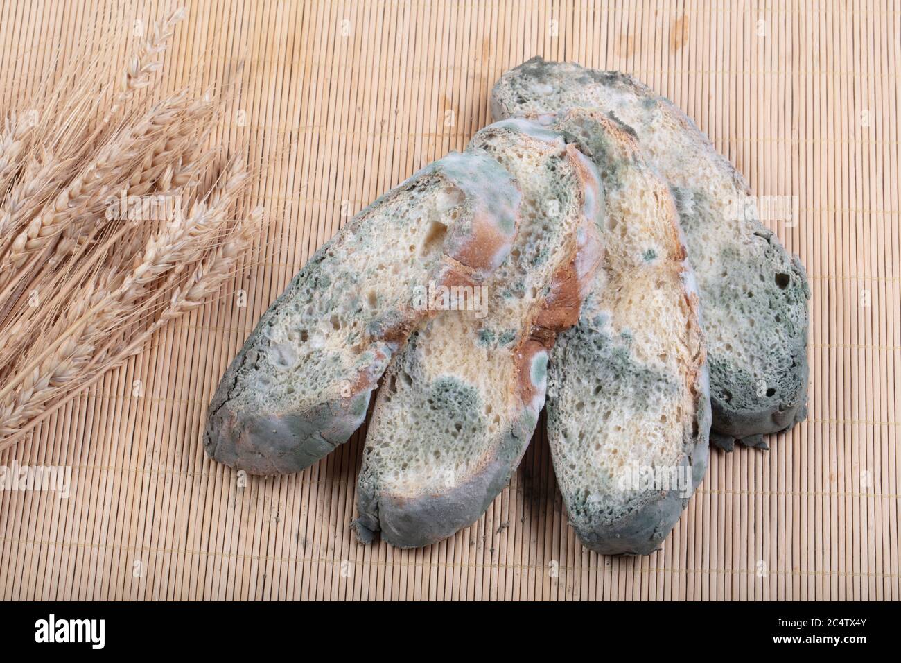 Сахарное поседение шоколада. Хлеб покрытый плесенью. Багет с плесенью. Глиняный плесневеет решетка. Плесень на хлебе фото.