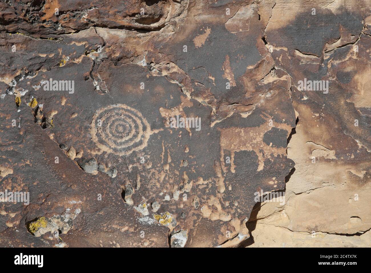 Ancient Native American Indian rock art petroglyph animal circle Utah 1429. Nine Mile Canyon, Utah. World’s longest art gallery ancient native America Stock Photo