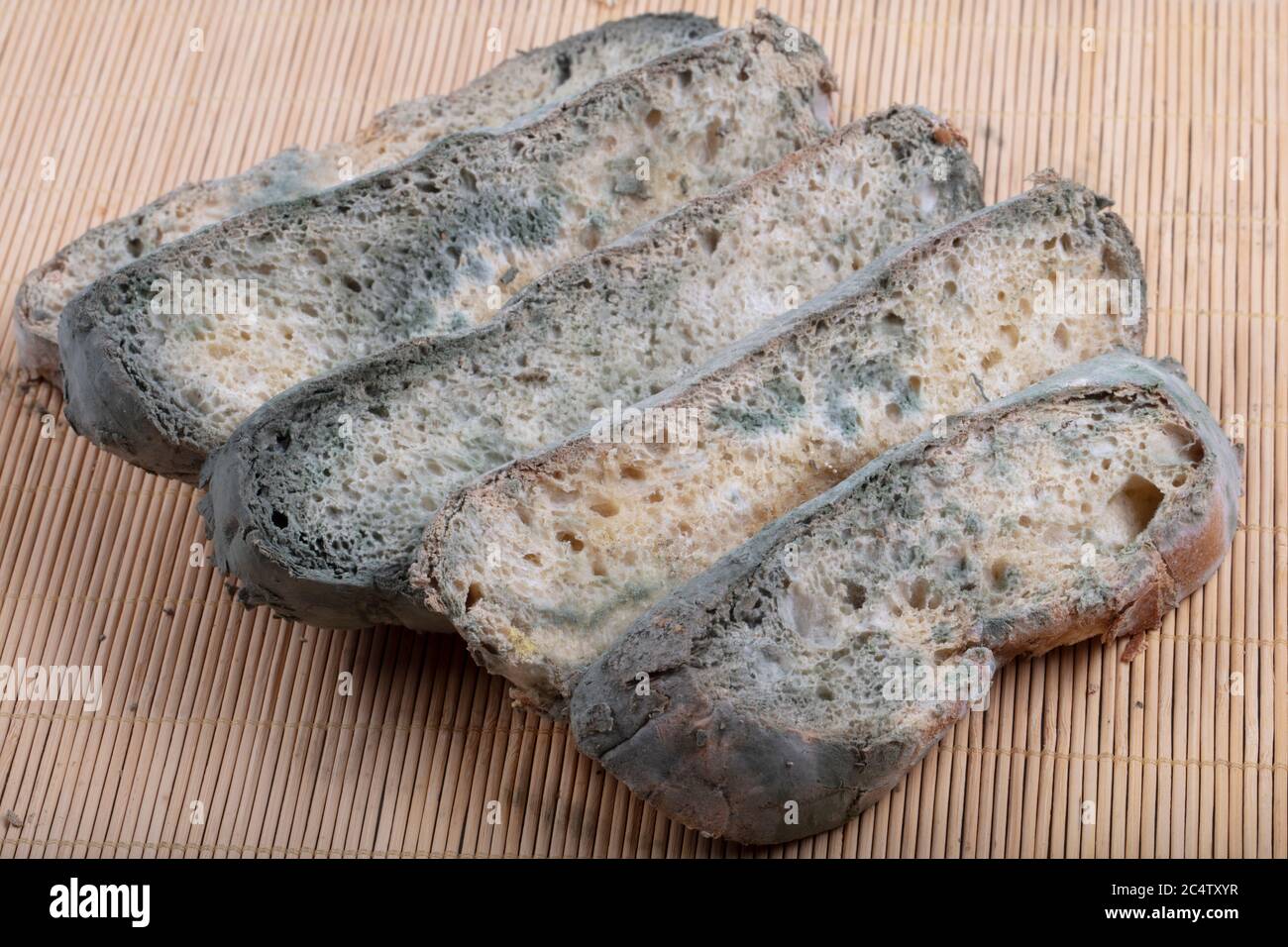 Macrophotography of green mildew on a stale bread. Surface of moldy