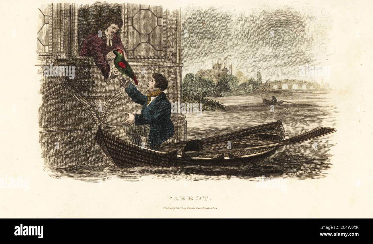London boatman saving a talking parrot belonging to King Henry VIII of England. The boatman brings the bird to the king at a window in his apartments in Westminster Palace on the River Thames. From an anecdote by English ornithologist Francis Willughby. Handcoloured copperplate engraving from Reverend Thomas Smith’s The Naturalist’s Cabinet, or Interesting Sketches of Animal History, Albion Press, James Cundee, London, 1806. Smith, fl. 1803-1818, was a writer and editor of books on natural history, religion, philosophy, ancient history and astronomy. Stock Photo