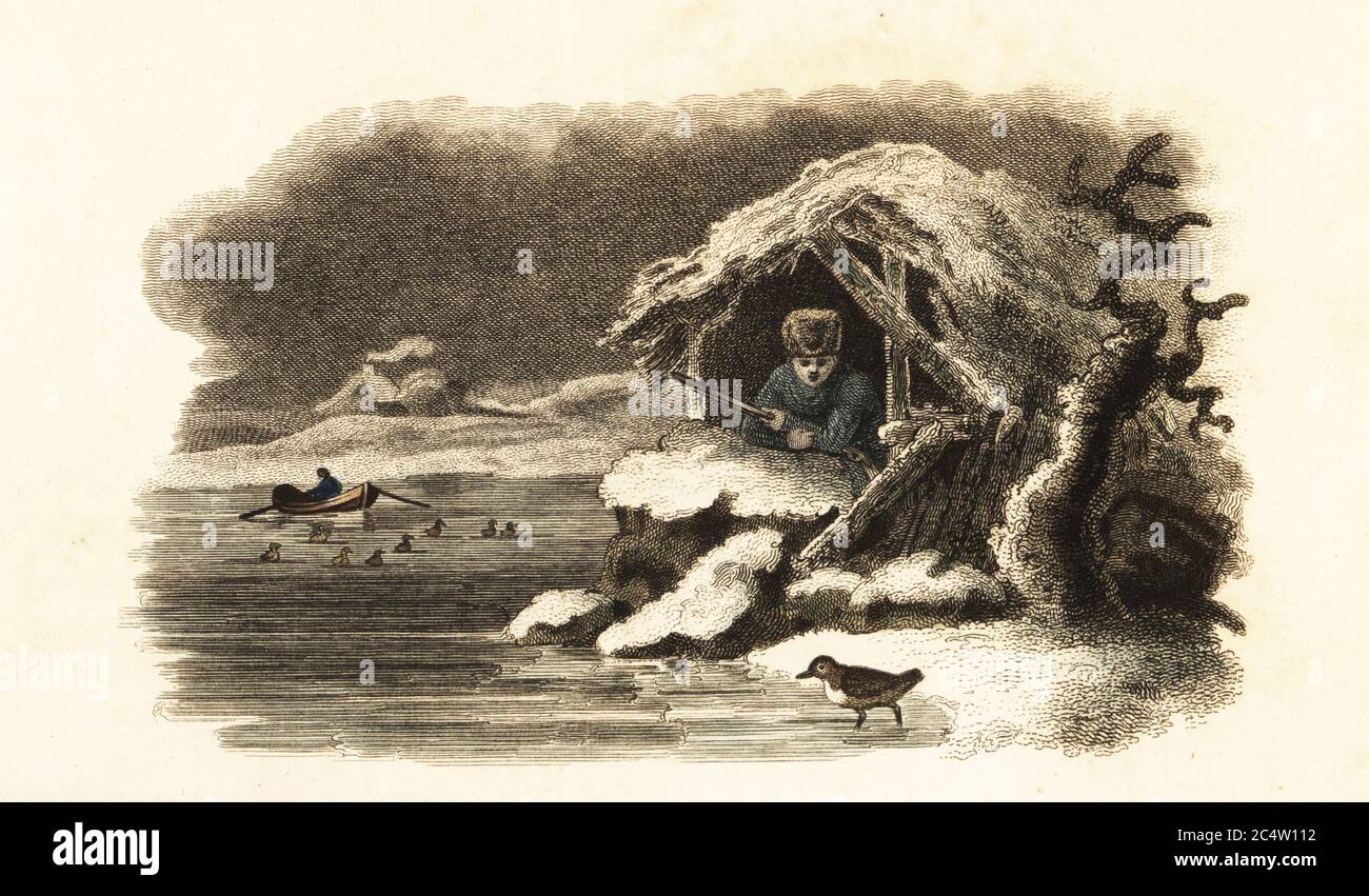 European water ouzel walking into Lake Nantua, France, and continuing submerged on the bottom of the lake in a bubble of air. A naturalist with musket observes from a snow-covered hut of pine branches. A man in a boat drives ducks to the shore. After an anecdote sent by Mr. Hebert or Herbert to Comte de Buffon in Histoire Naturelle, 1749-1788. Water ouzel, Cinclus aquaticus. Handcoloured copperplate engraving from Reverend Thomas Smith’s The Naturalist’s Cabinet, or Interesting Sketches of Animal History, Albion Press, James Cundee, London, 1806. Smith, fl. 1803-1818, was a writer and editor o Stock Photo