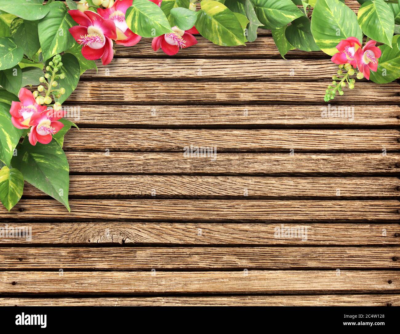 Horizontal background with wooden boards, flower and tropical leaves.  Nature backdrop with exotical border with plants of jungle and wood planks.  Copy Stock Photo - Alamy