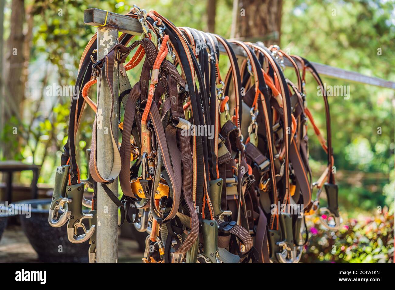 Rope park equipment. Strapping in the ropes park Stock Photo Alamy