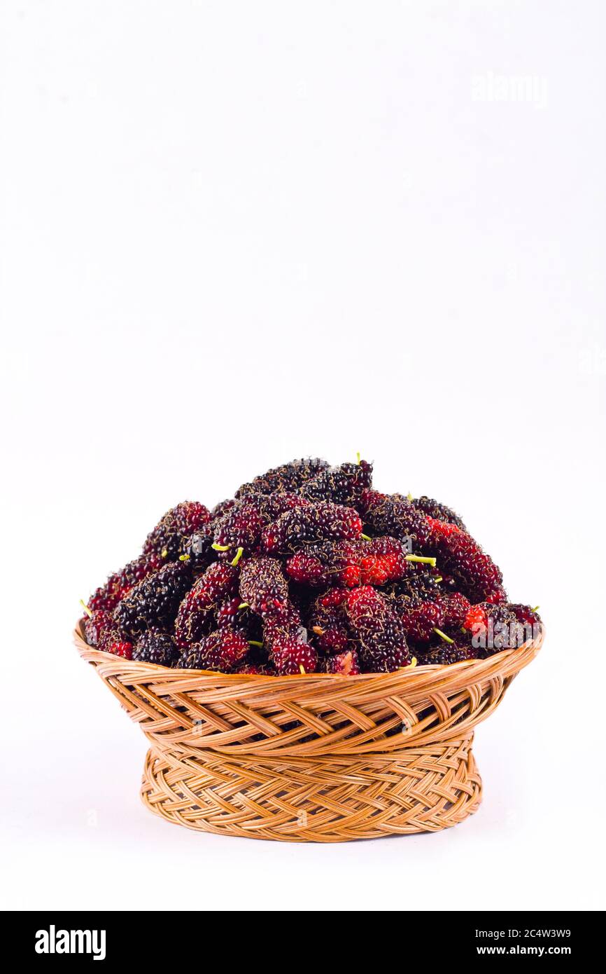 sweet mulberries in  brown basket on white background healthy mulberry fruit food isolated Stock Photo